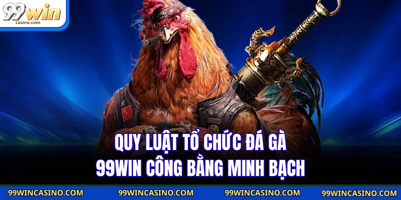 Quy luật tổ chức đá gà 99WIN công bằng minh bạch